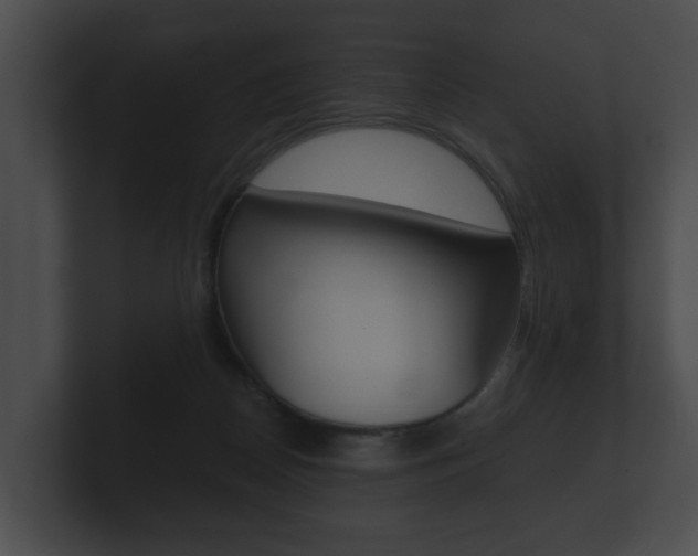X0000100890170200806241016