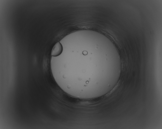 X0000100890171200806241016