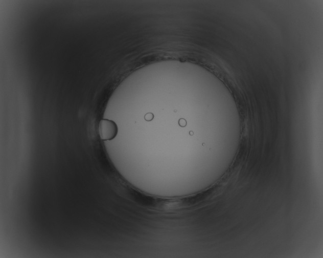 X0000100890173200806241016
