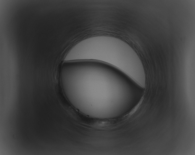 X0000100890174200806241017