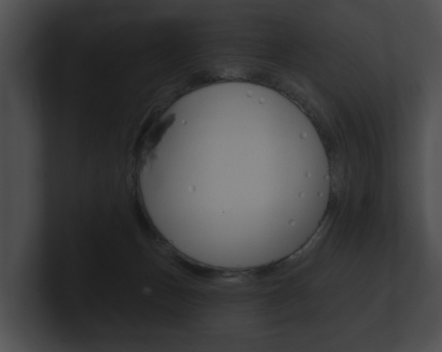 X0000100890175200806241017