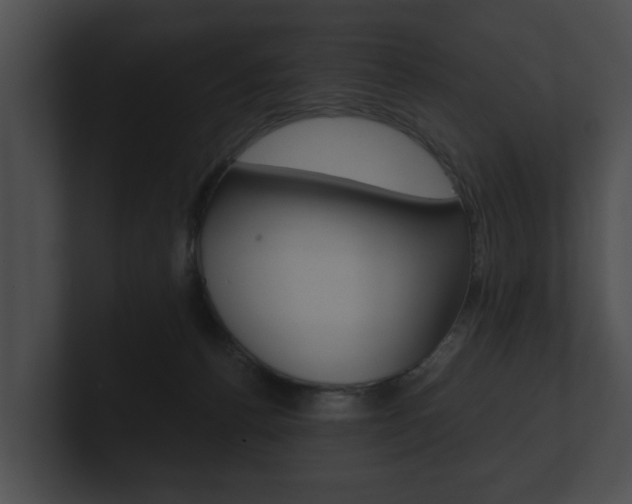 X0000100890176200806241017