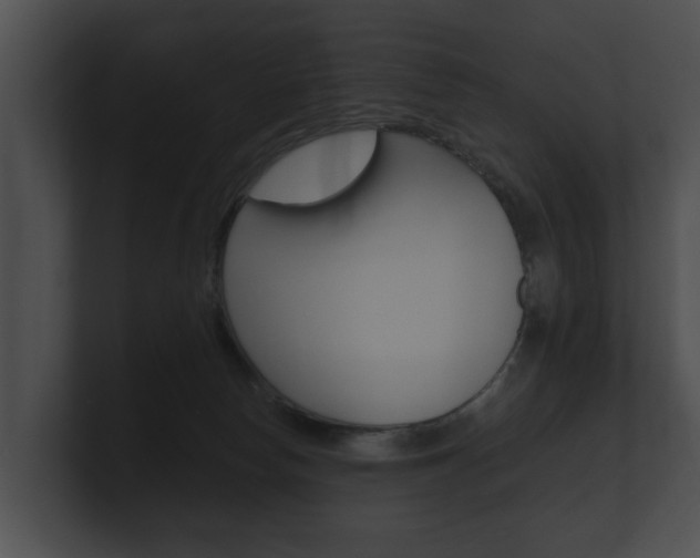 X0000100890178200806241017