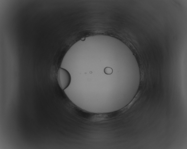 X0000100890179200806241017