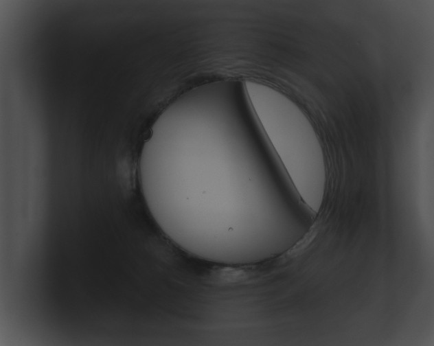 X0000100890180200806241017