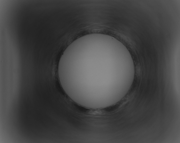 X0000100890181200806241017