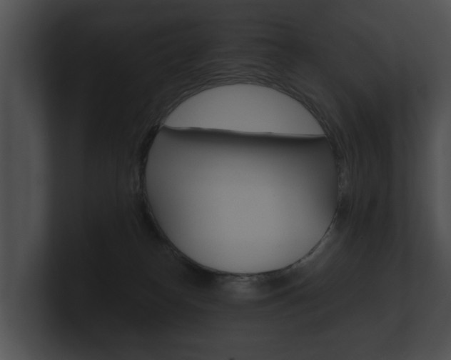 X0000100890182200806241017
