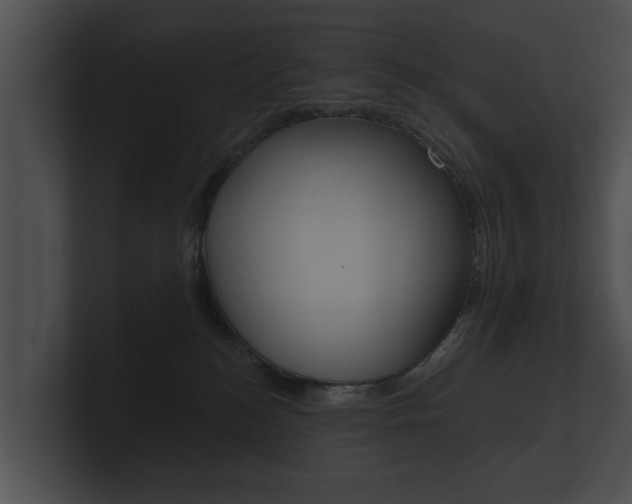 X0000100890184200806241017