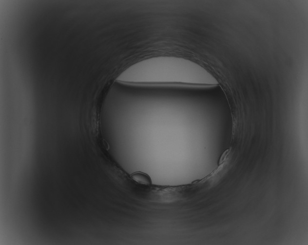 X0000100890186200806241017