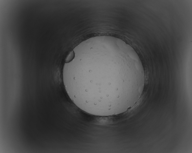 X0000100890187200806241017