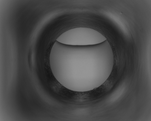 X0000100890189200806241017