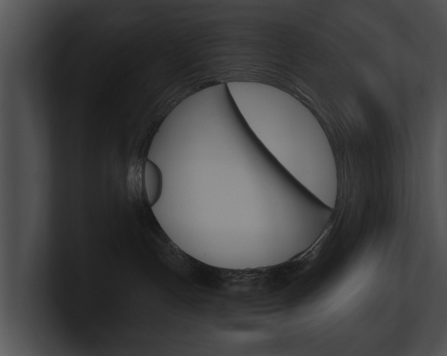 X0000100890191200806241017