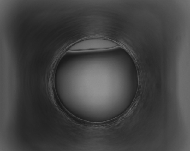 X0000100890193200806241016