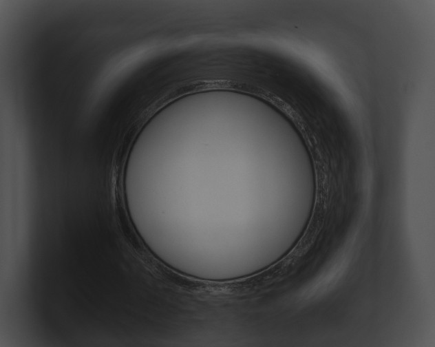 X0000100890194200806241016