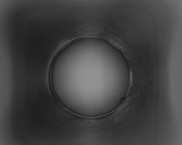 X0000100890195200806241016