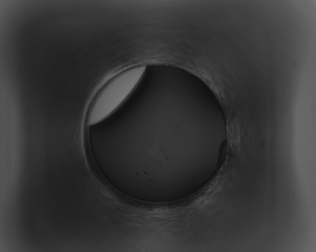 X0000100890196200806241016