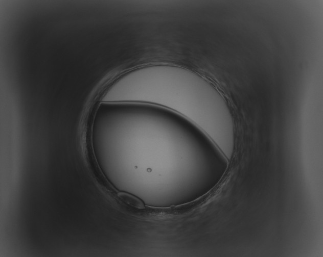 X0000100890197200806241016