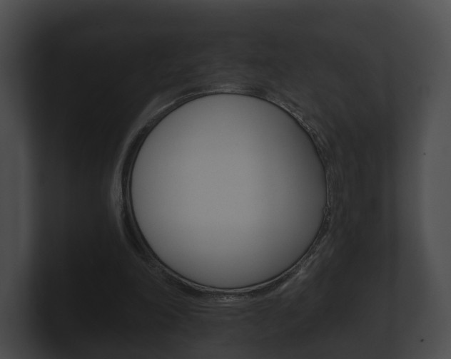 X0000100890198200806241016