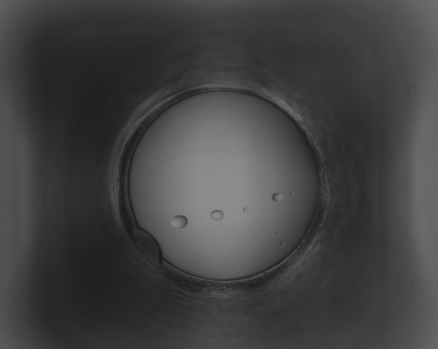 X0000100890199200806241016