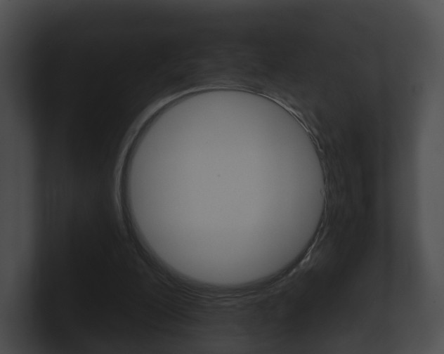 X0000100890200200806241016
