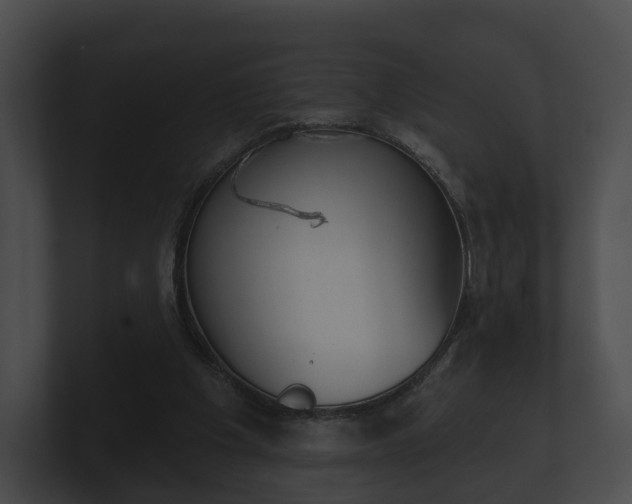 X0000100890201200806241016