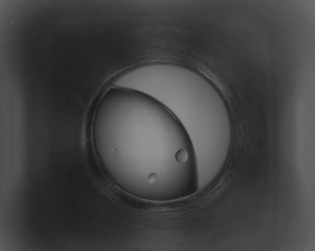 X0000100890203200806241016
