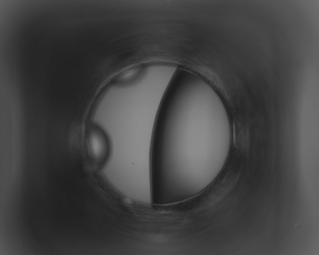 X0000100890204200806241016