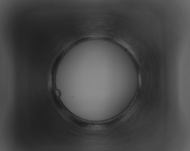 X0000100890205200806241016