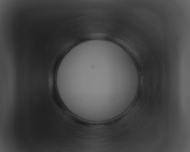 X0000100890206200806241016