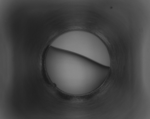 X0000100890207200806241016