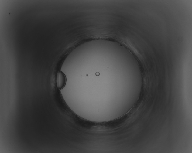 X0000100890211200806241016
