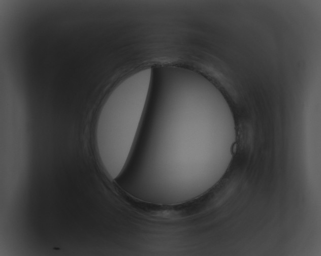 X0000100890212200806241016