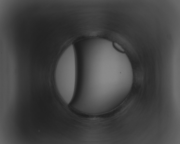 X0000100890216200806241016