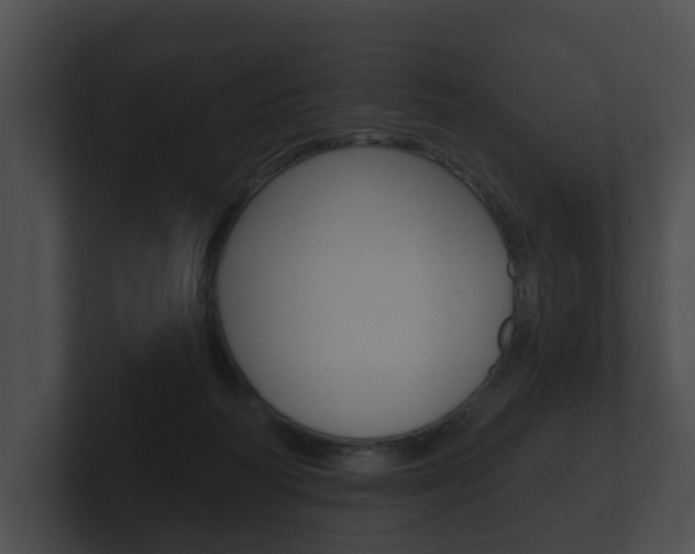 X0000100890218200806241016
