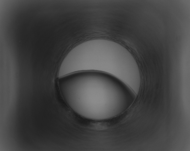 X0000100890221200806241016