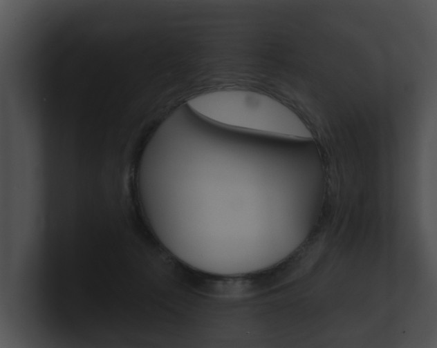 X0000100890225200806241016