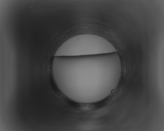 X0000100890226200806241016
