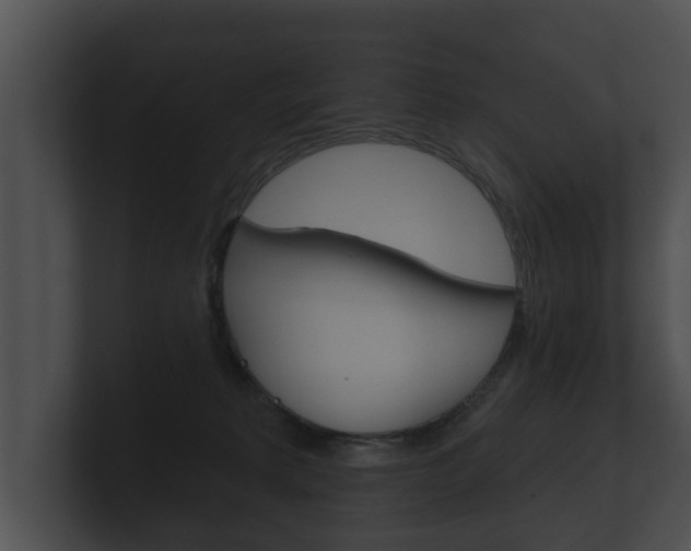 X0000100890229200806241016