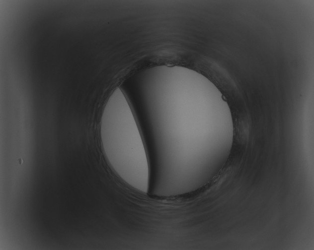 X0000100890232200806241016