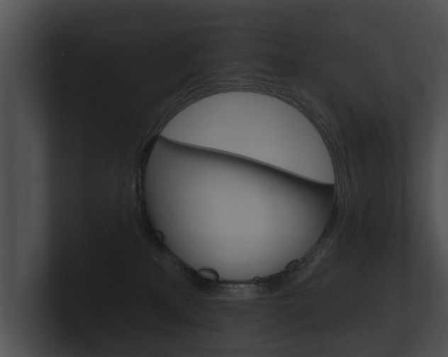 X0000100890233200806241016