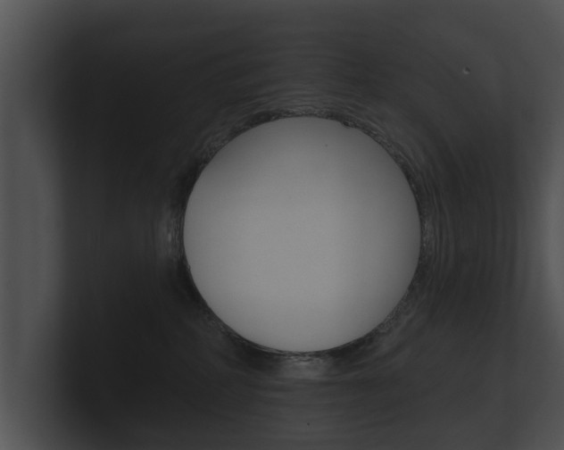 X0000100890234200806241016