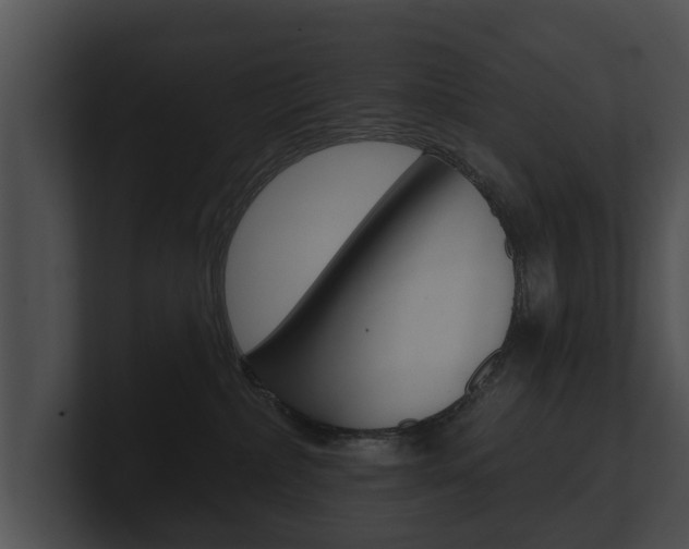 X0000100890236200806241015