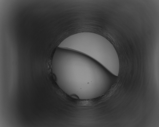X0000100890237200806241015