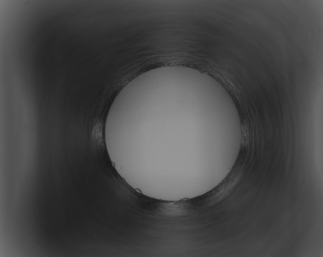 X0000100890238200806241015