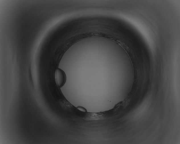 X0000100890239200806241015