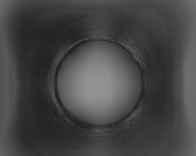 X0000100890241200806241015