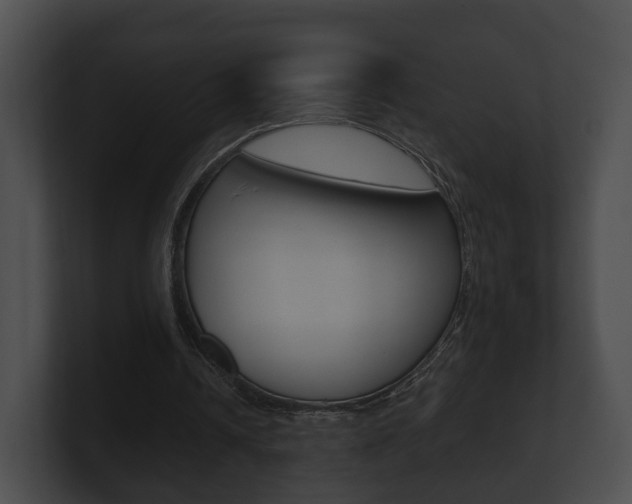 X0000100890242200806241015