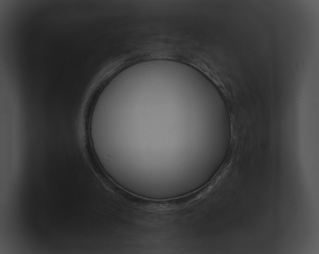 X0000100890245200806241015
