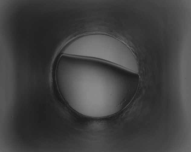 X0000100890248200806241015