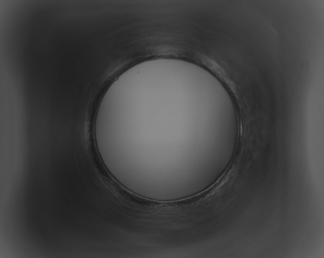 X0000100890249200806241015